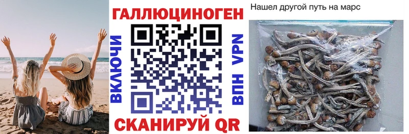 ОМГ ОМГ онион  Долинск  Псилоцибиновые грибы Psilocybine cubensis 